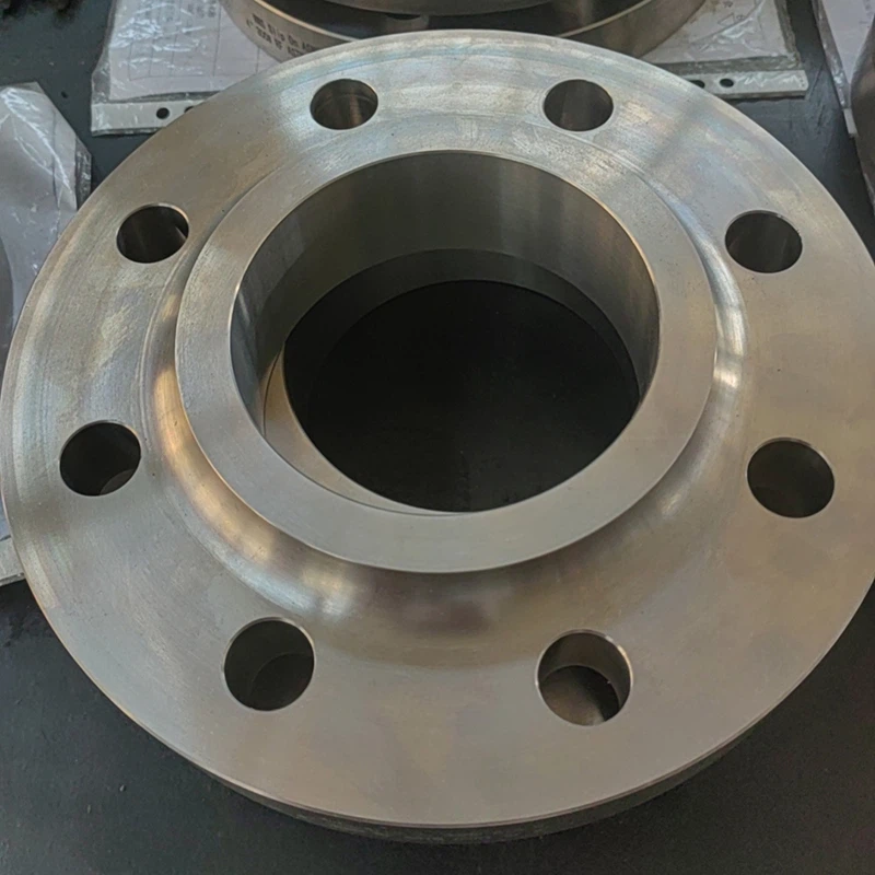 Titanium Slip On Flange